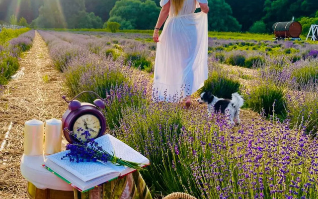 Шале Ромашки