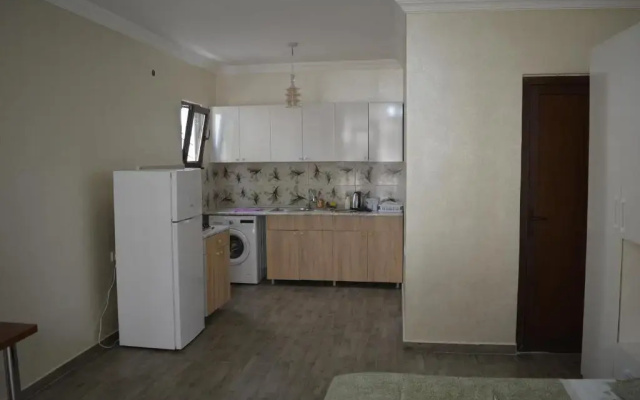 Апартаменты Giga Guesthouse