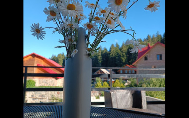 Hotel Grand Noel Bakuriani