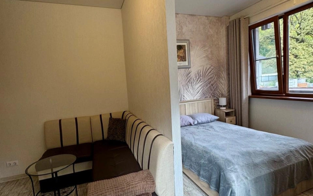Studiya S Balkonom V Tsentre Estosadka Flat