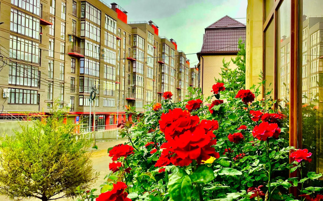 Апартаменты на Декабристов 36