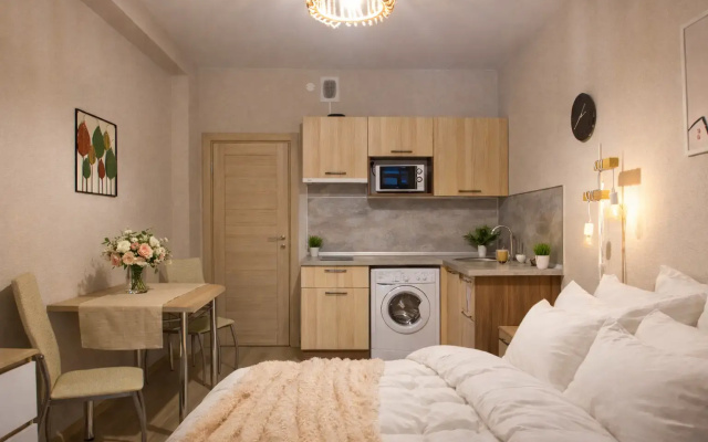 Апартаменты Студия Natalie Apartments Пулковское шоссе 14 Е (17)