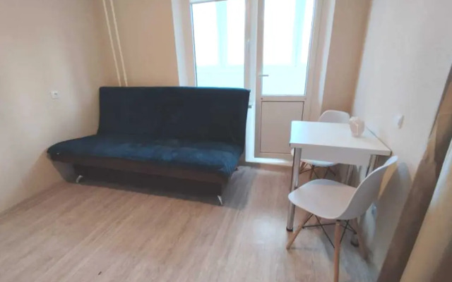 Smart-studiya na Lenina 243 Flat