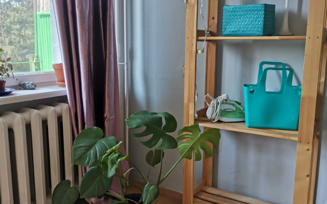 Апартаменты художника у леса