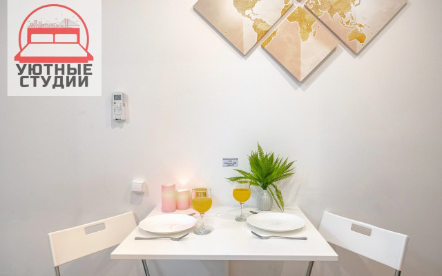 Квартира студия 3 на Некрасовской