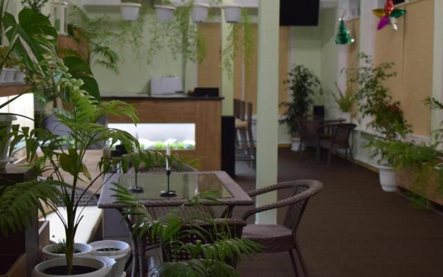 Aviaferma Yasnyie Zori Hotel