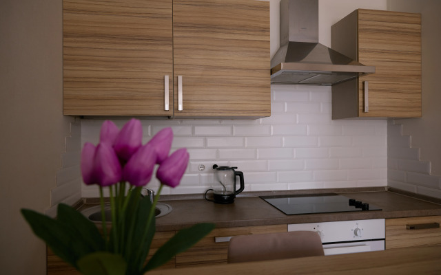 Апартаменты на Родионова