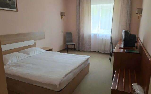 Отель Александровский парк-отель