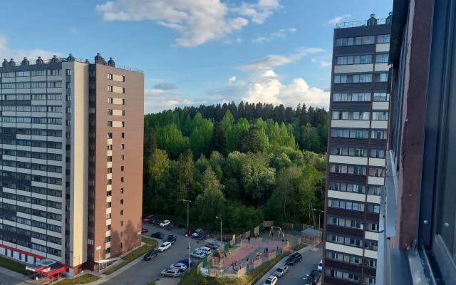 Uyutnaya I Vidovaya V Petrozavodske Flat
