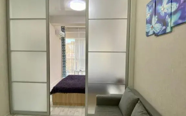 Квартира на Крымской 89 (729)