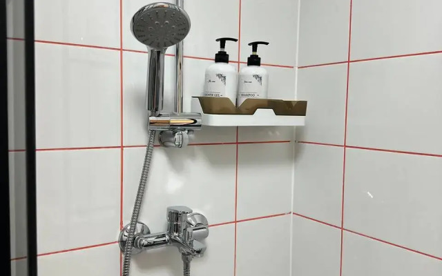 Studiya Okolo Ostrova Mechty I Parka Kolomenskoye Flat