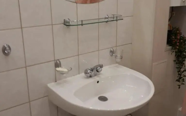 Апартаменты 1-комнатные апартаменты на Литейном