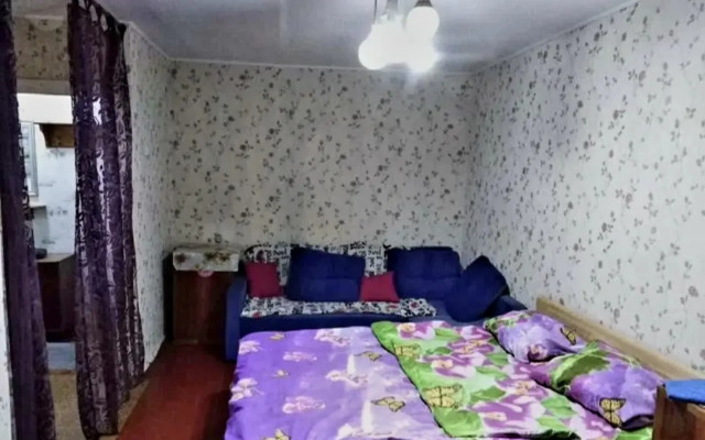 Квартира Бабушкин Вариант