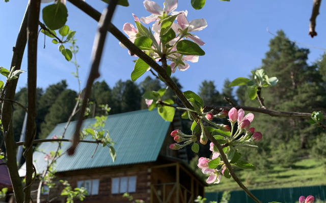 Гостевой дом Летний домик из кедра с баней