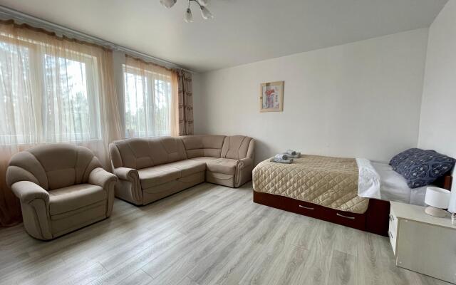 Апартаменты Лес и Шишки