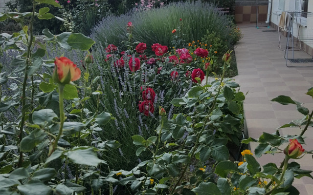 Гостевой Дом Роза Ветров