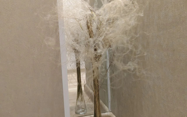 Квартира Видовая студия рядом с гормолзаводом