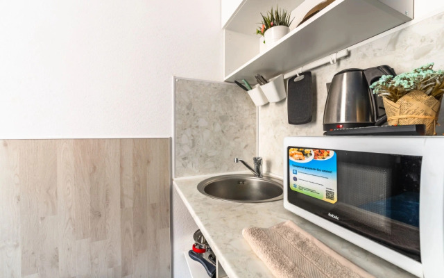 Квартира Двухместная студия возле Александро-Невской лавры (Х4)