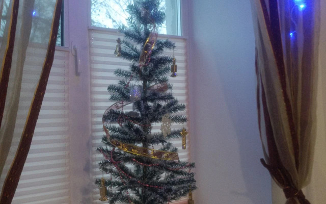 Квартира на Флотском Спуске