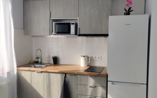 Uyutnaya Studiya U Parka Flat
