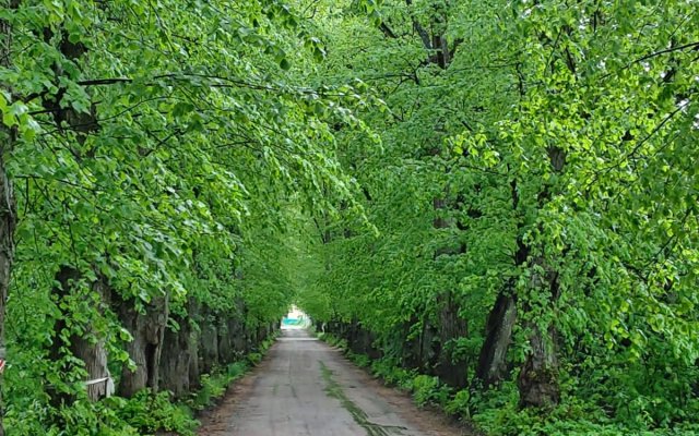 Отель В гостях у Нобеля