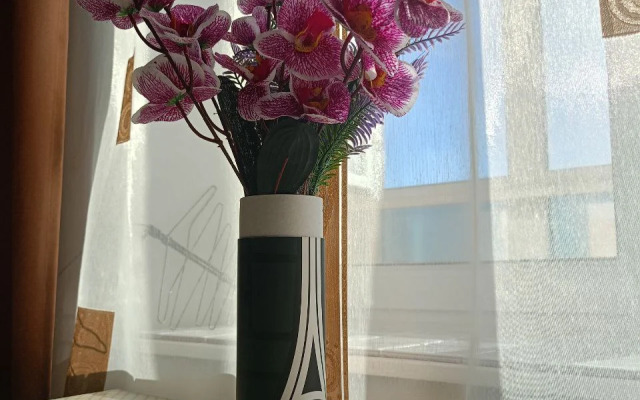 Апартаменты Аврора  четырехместные (id 122к1)