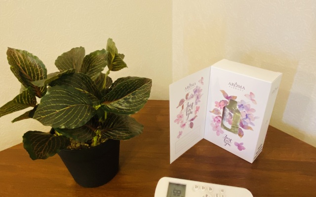 Апартаменты с Видом на Озеро