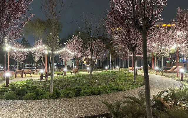 Апартаменты Центральный