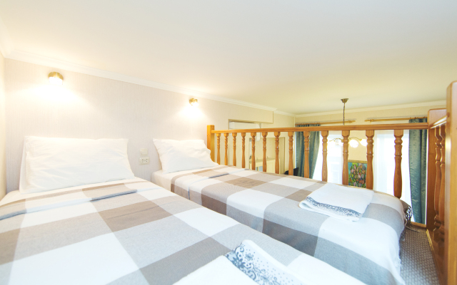 Апартаменты Двухуровневые на Пушкинской 12