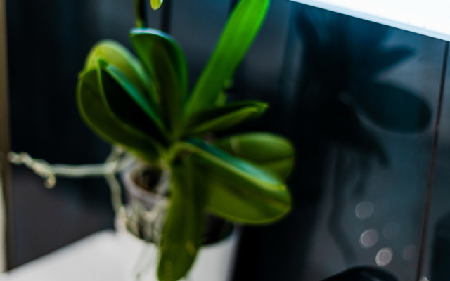 Апартаменты Трехкомнатный Кавали