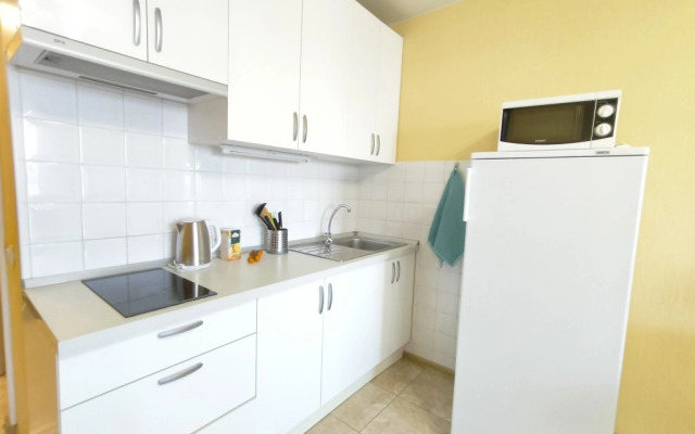 Апартаменты Студия Комфорт с Балконом Lesnaya