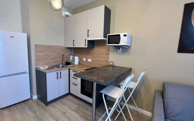 Apartamenty Vidovye Apartamenty Na Neve Ot Rent198 Apartments