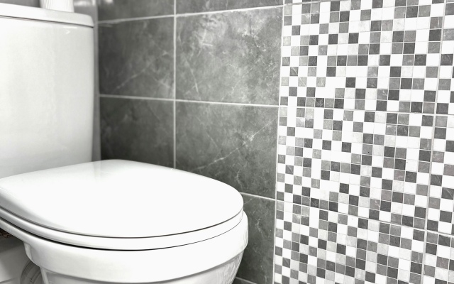 Апартаменты Pashk Inn Artek