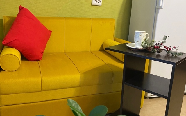 Апартаменты Квартира студия Чистая 13