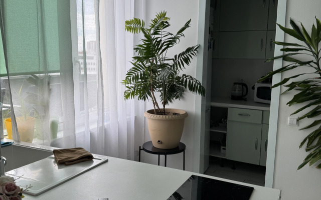 Квартира двухкомнатная в центре