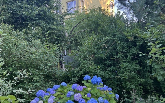 Квартира Цветочный Светлогорск