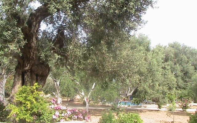 Afroditi Villa