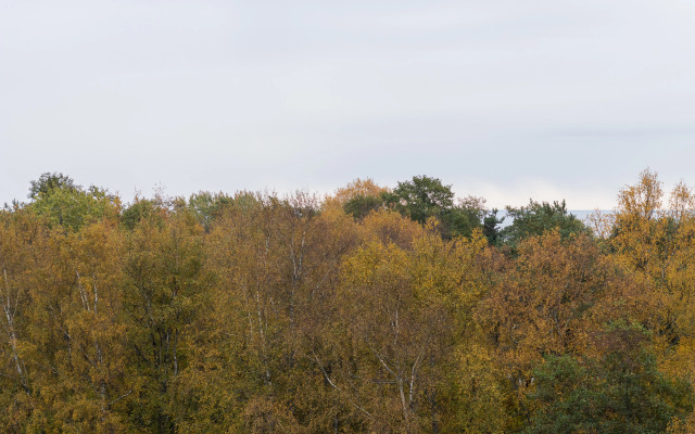 Апартаменты Студия 721