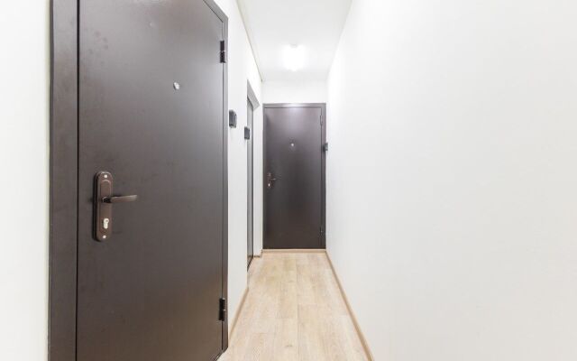 Na Prospekte Ibragimova 30a Flat 3
