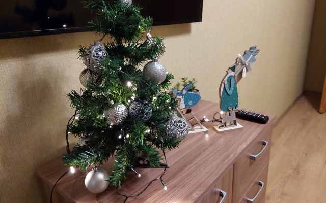 Апартаменты В Питере жить 1