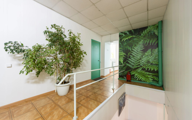Zeleny Guest house