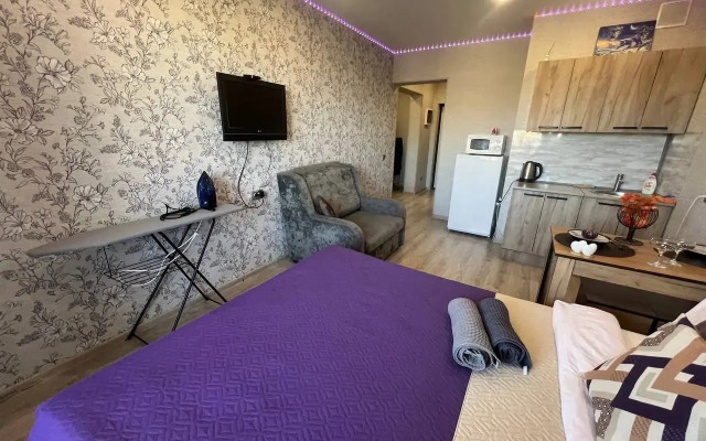 Квартира Студия на Пискунова