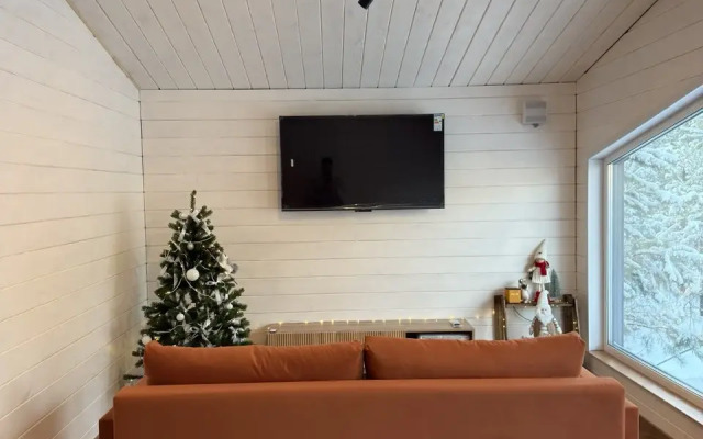 Частный дом в лесу