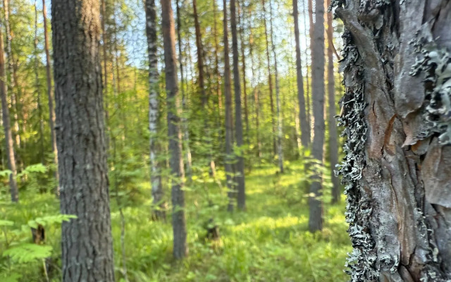 Частный дом в Республике Карелия