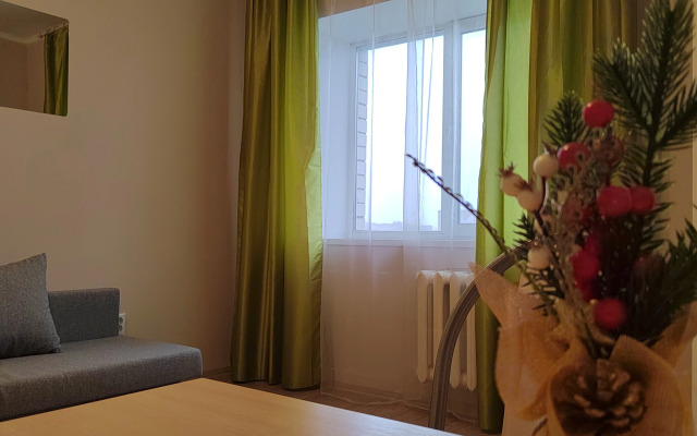 Studiya 20 M² Beloozerskiy Apartments