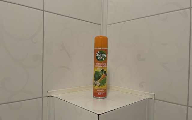 Апартаменты Гагарина 2А