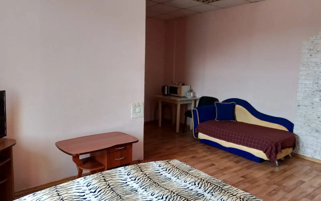 Studiya V Tsentre Flat