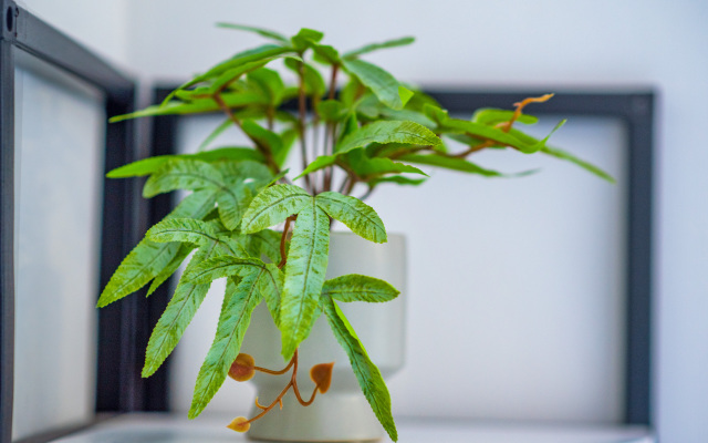 Hb Apartments University I Apartments