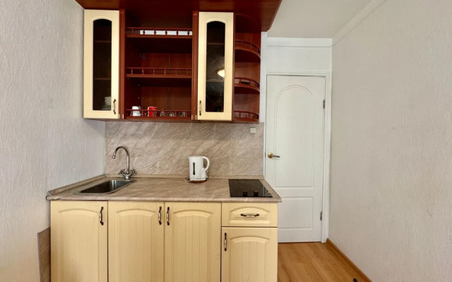 U Ploschadi Trekh Vokzalov Flat