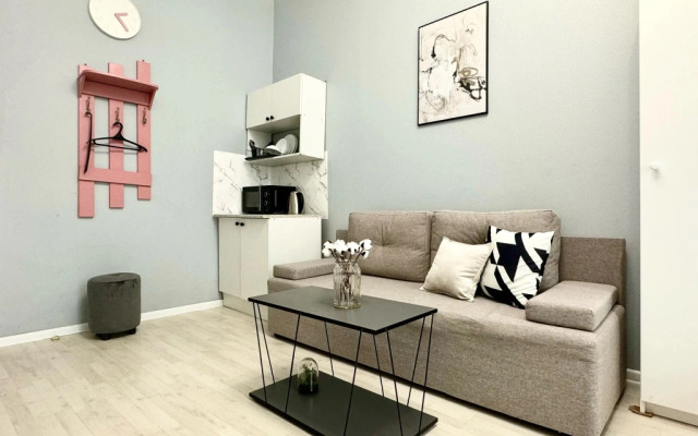 Апартаменты студии Sivakapart в центре на Пушкинской